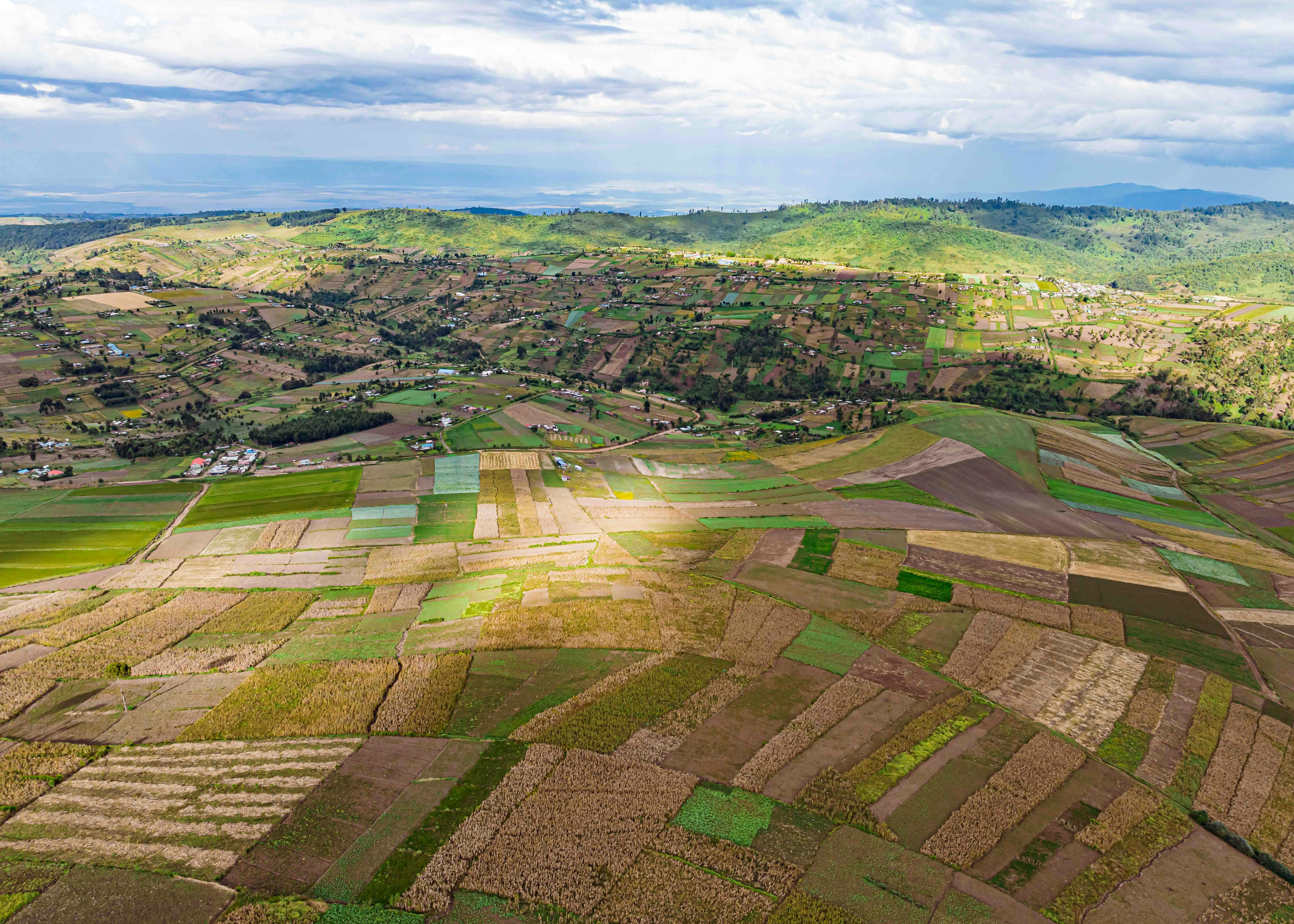 Data-Driven Development: Africa's Analytics Revolution
